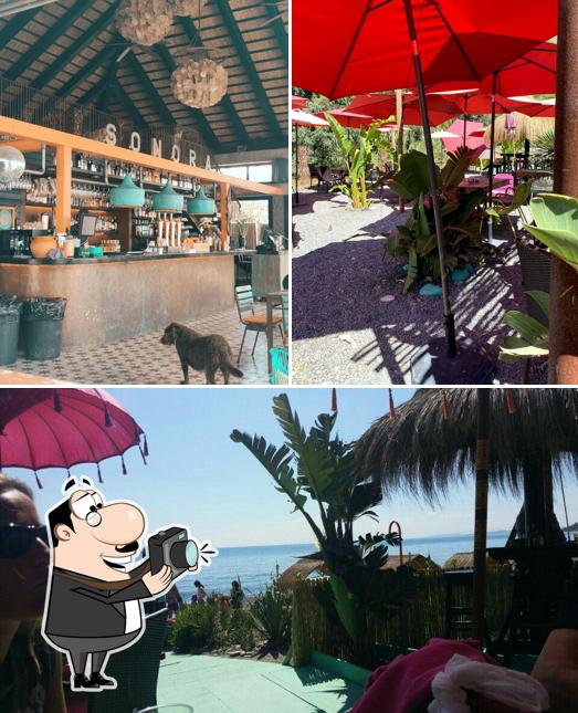 Это изображение паба и бара "Chiringuito Sonora Beach"
