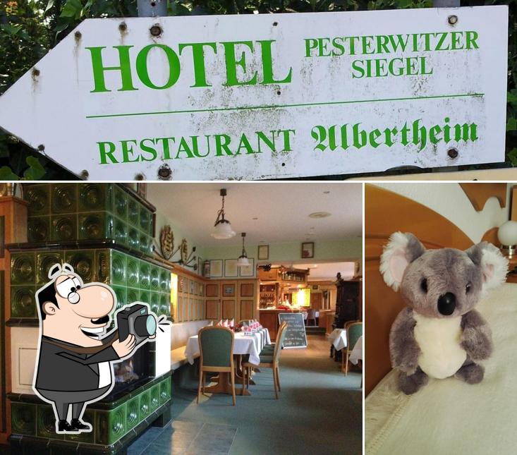 Взгляните на фотографию ресторана "Restaurant Albertheim"
