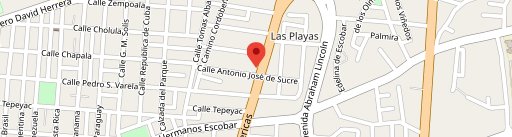 El Toro Negro on map