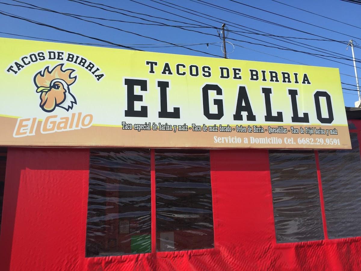 Restaurante Tacos del birria El Gallo, Los Mochis - Opiniones del  restaurante