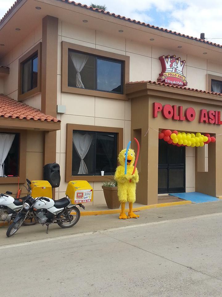 Pollo Asil cantamar, Ensenada