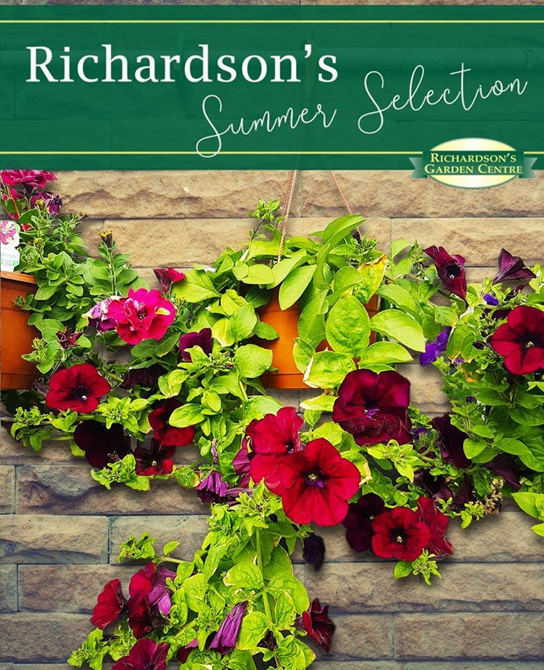 Richardsons Garden Centre In Seaham Restaurant Menu And Reviews