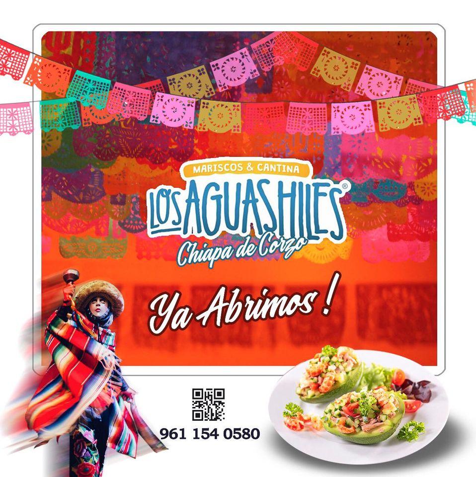 Restaurante Los Aguashiles Chiapa, Chiapa de Corzo - Opiniones del  restaurante