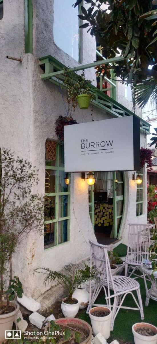 Burrow cafe