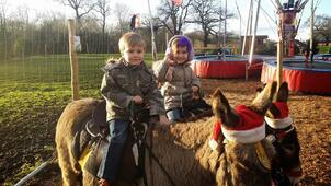 Cheshire Reindeer Lodge and Christmas Tree Farm