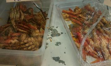 Best crab legs in Savannah restaurants, spring 2022 - Restaurant Guru