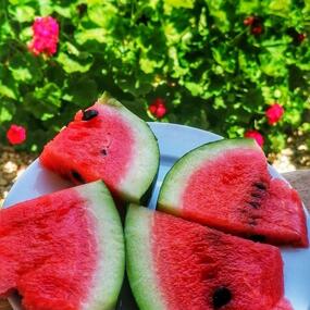 Narlı bahçe pomegranate Garden - Ölüdeniz En İyi Köy Kahvaltısı - Hisarönü Ovacık En İyi Kahvaltı - Ev Yapımı Ürünler