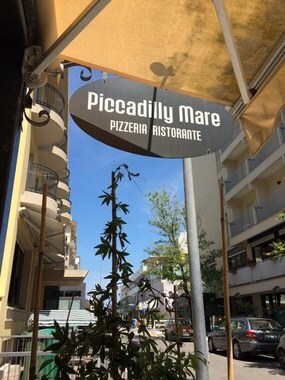 Piccadilly Mare