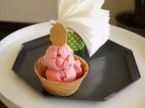 PURO - Ice Cream Factory