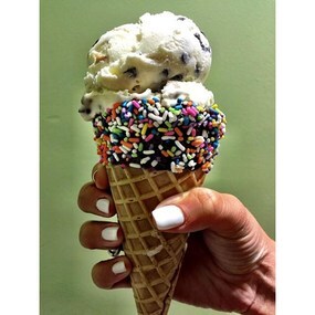 Palm Beach Ice Cream