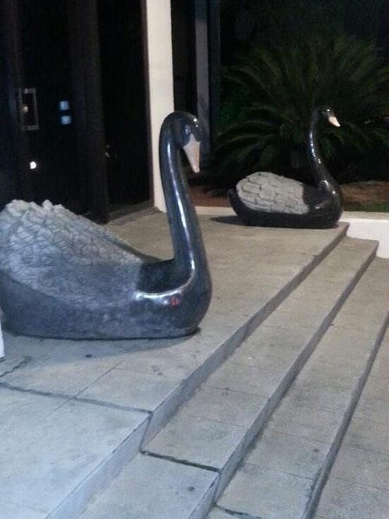 Ресторан черный лебедь москва