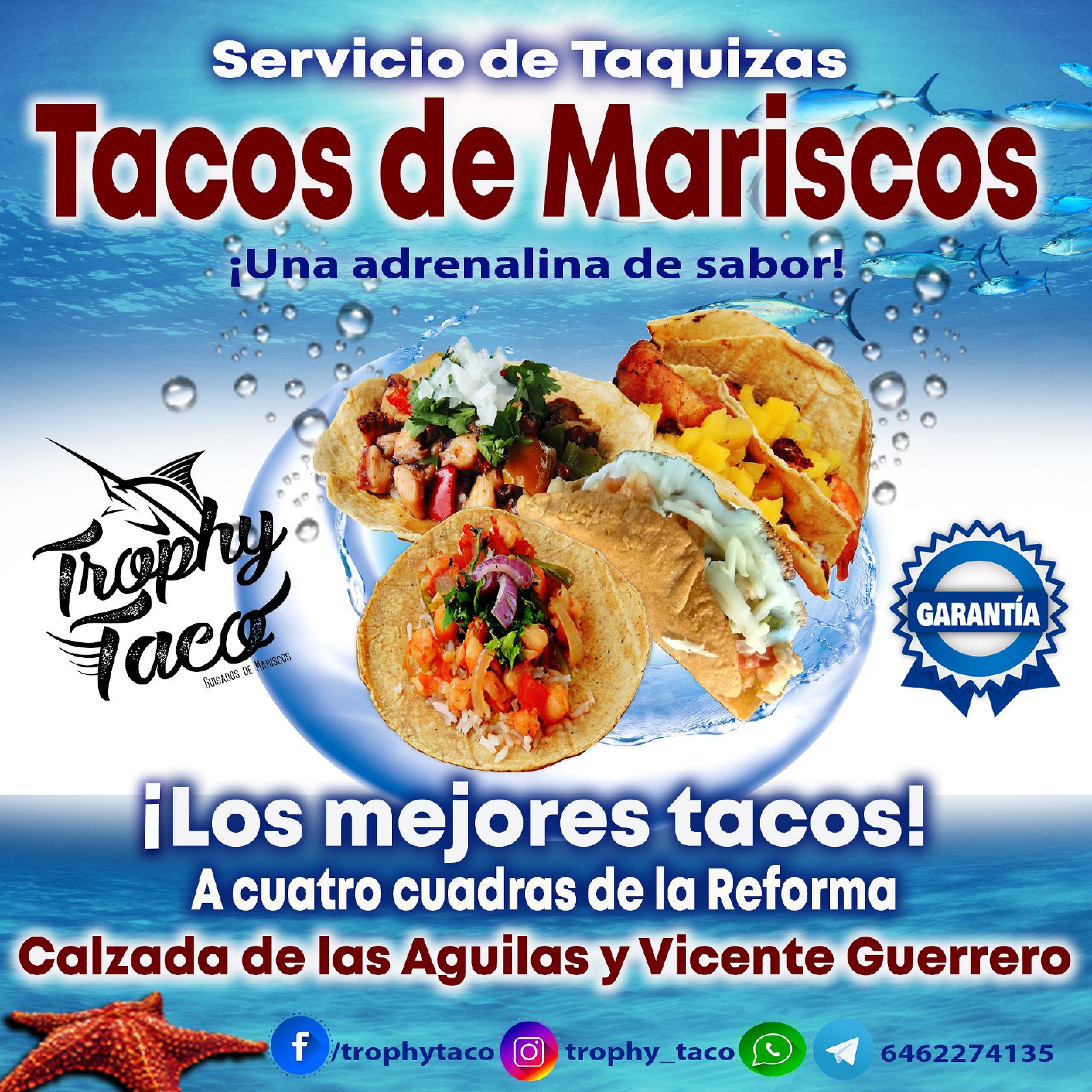 Trophy Taco restaurant, Ensenada, Avenida Vicente Guerrero 256 y -  Restaurant menu and reviews