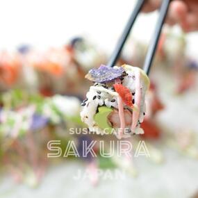 SAKURA Sushi Cafe